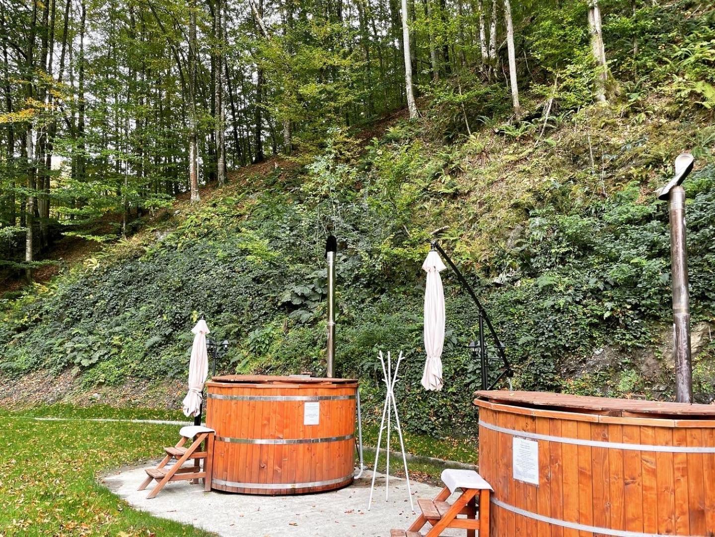 Valea lui Liman Hotel Tomesti  Exterior foto
